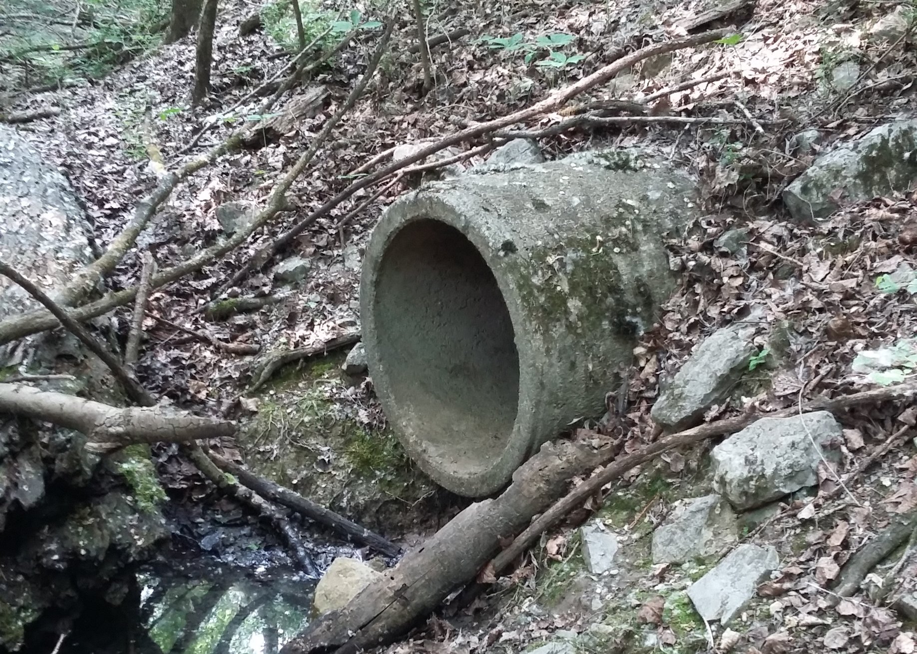 Immagine per Legambiente accusa: «Sversamento deliberato sulle zone umide del Carso»